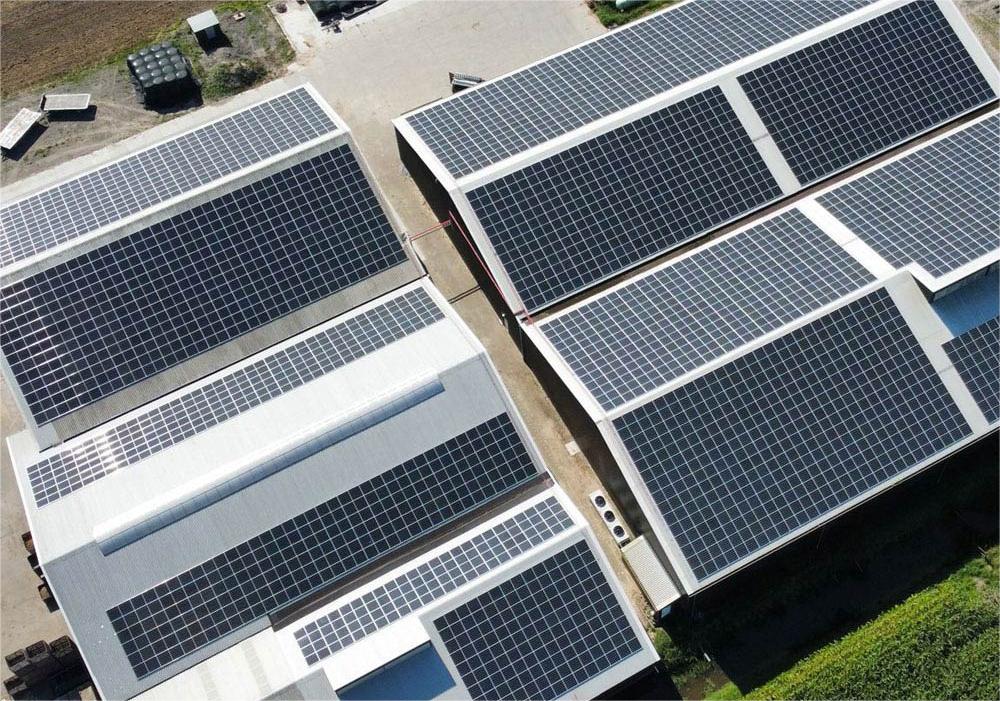 Why every factory should consider installing solar panels